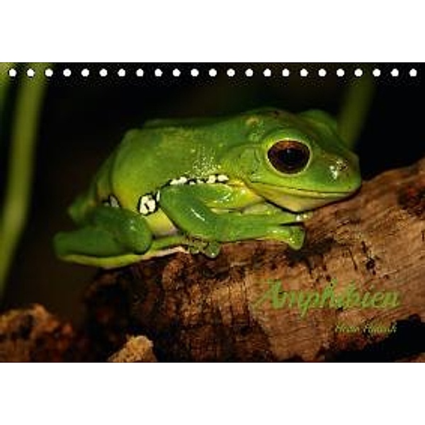 Amphibien (Tischkalender 2016 DIN A5 quer), Heike Hultsch