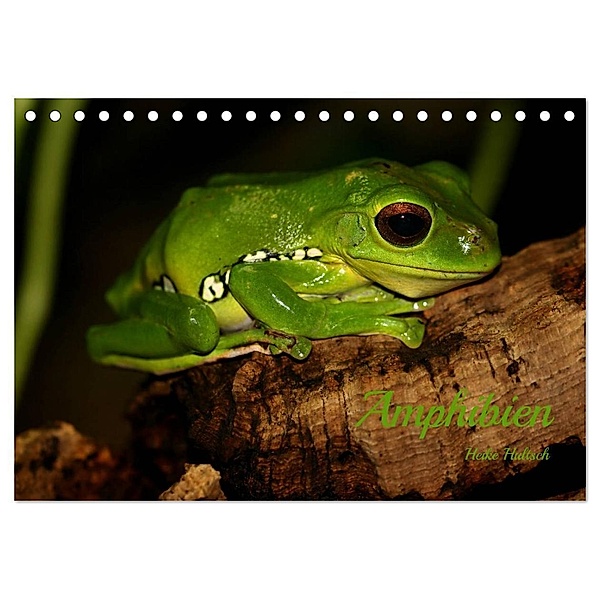 Amphibien (Tischkalender 2024 DIN A5 quer), CALVENDO Monatskalender, Heike Hultsch