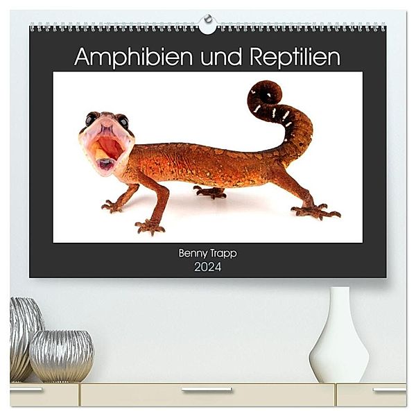 Amphibien und Reptilien (hochwertiger Premium Wandkalender 2024 DIN A2 quer), Kunstdruck in Hochglanz, Benny Trapp
