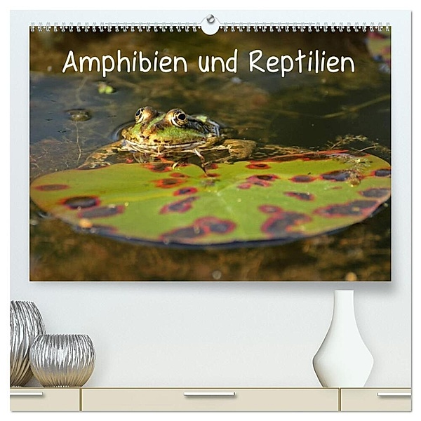 Amphibien und Reptilien (hochwertiger Premium Wandkalender 2024 DIN A2 quer), Kunstdruck in Hochglanz, Christine Schmutzler-Schaub