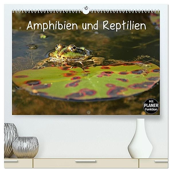 Amphibien und Reptilien (hochwertiger Premium Wandkalender 2025 DIN A2 quer), Kunstdruck in Hochglanz, Calvendo, Christine Schmutzler-Schaub