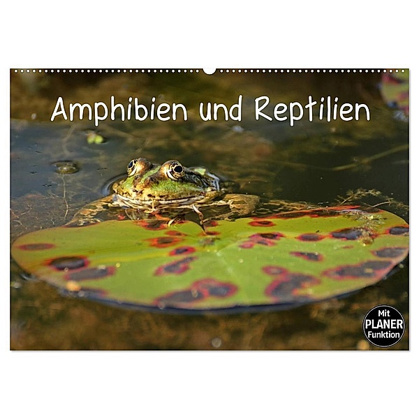 Amphibien und Reptilien (Wandkalender 2024 DIN A2 quer), CALVENDO Monatskalender, Christine Schmutzler-Schaub