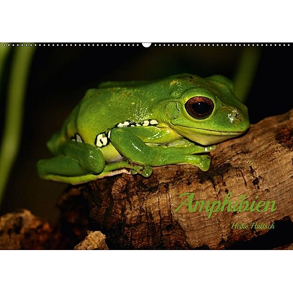 Amphibien (Wandkalender 2018 DIN A2 quer), Heike Hultsch
