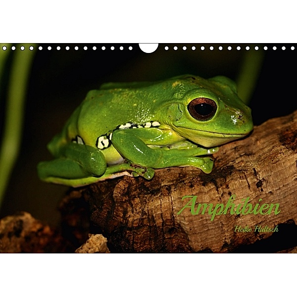 Amphibien (Wandkalender 2018 DIN A4 quer), Heike Hultsch