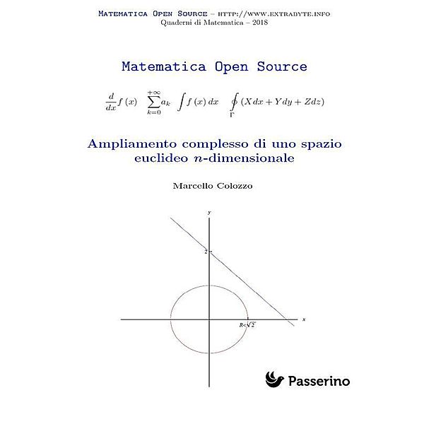 Ampliamento complesso di uno spazio euclideo n-dimensionale, Marcello Colozzo