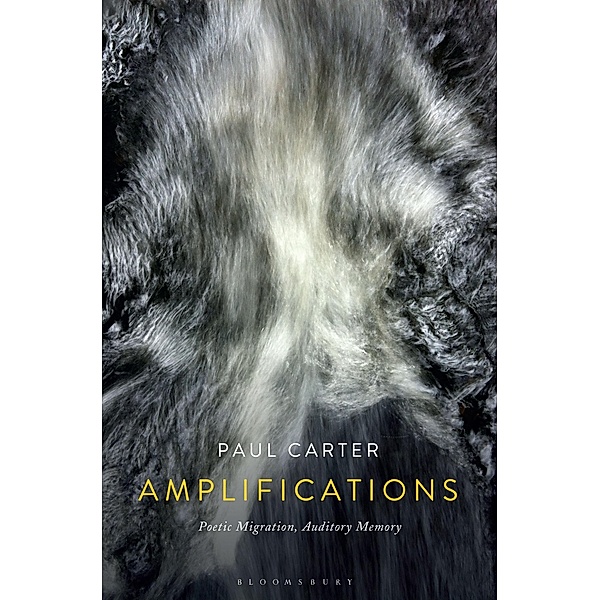 Amplifications, Paul Carter