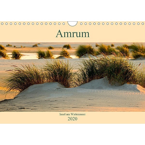 Amrum Insel am Wattenmeer (Wandkalender 2020 DIN A4 quer), Alexander Wolff
