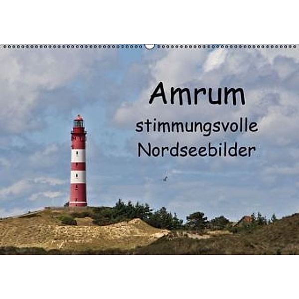 Amrum - stimmungsvolle Nordseebilder / CH-Version (Wandkalender 2016 DIN A2 quer), Andrea Potratz