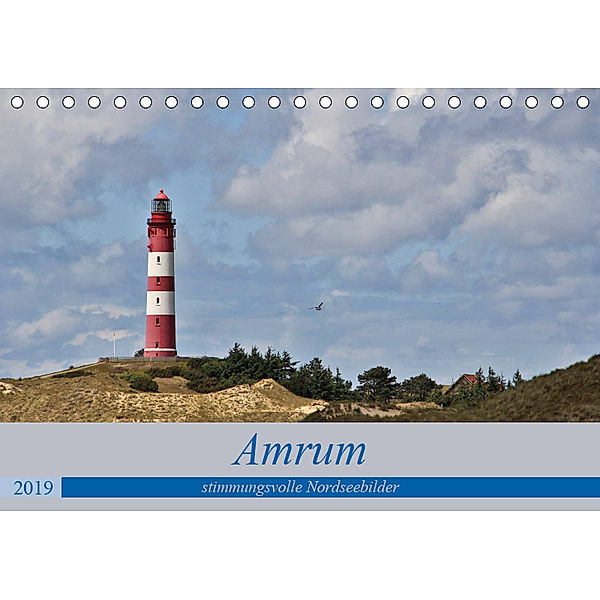 Amrum - stimmungsvolle Nordseebilder (Tischkalender 2019 DIN A5 quer), Andrea Potratz