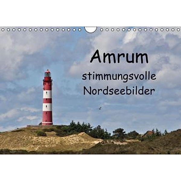 Amrum - stimmungsvolle Nordseebilder (Wandkalender 2015 DIN A4 quer), Andrea Potratz