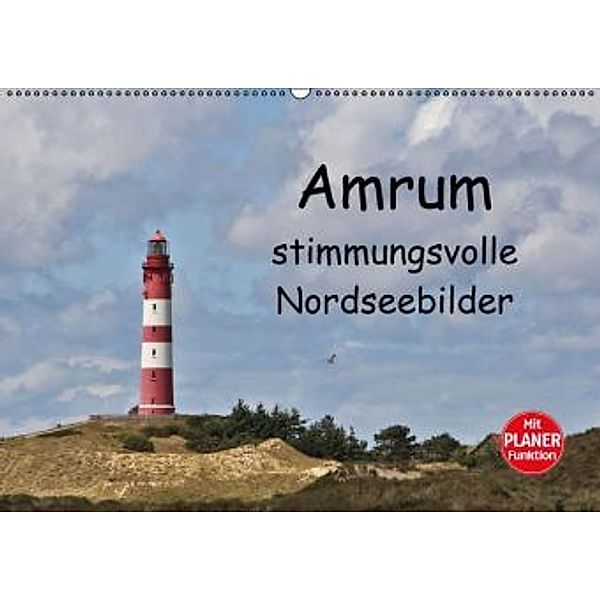 Amrum - stimmungsvolle Nordseebilder (Wandkalender 2016 DIN A2 quer), Andrea Potratz