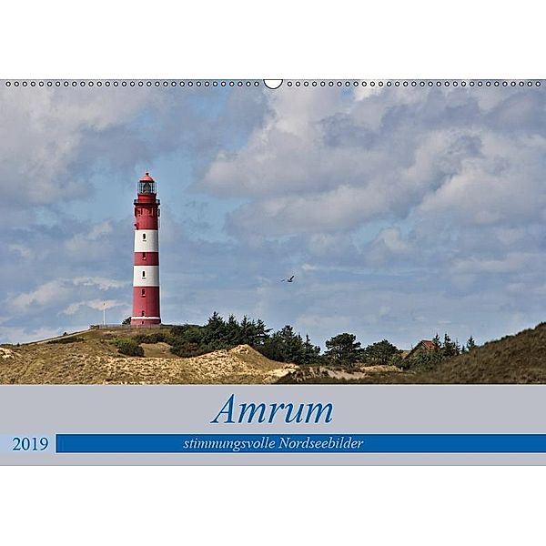 Amrum - stimmungsvolle Nordseebilder (Wandkalender 2019 DIN A2 quer), Andrea Potratz