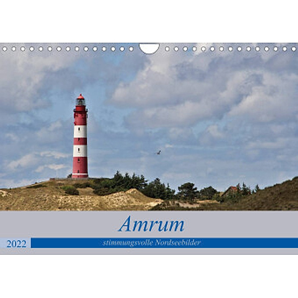 Amrum - stimmungsvolle Nordseebilder (Wandkalender 2022 DIN A4 quer), Andrea Potratz