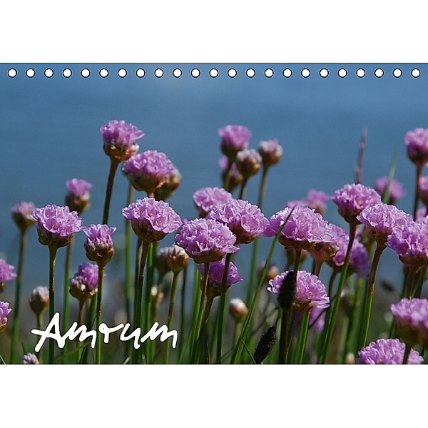 Amrum (Tischkalender 2014 DIN A5 quer), Birgit Küllsen