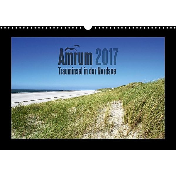 Amrum - Trauminsel in der Nordsee (Wandkalender 2017 DIN A3 quer), Sascha Stoll
