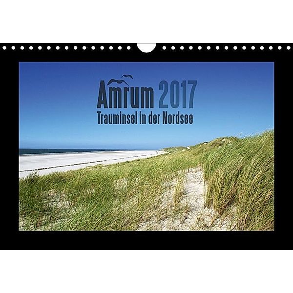 Amrum - Trauminsel in der Nordsee (Wandkalender 2017 DIN A4 quer), Sascha Stoll