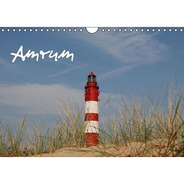 Amrum (Wandkalender 2015 DIN A4 quer), Birgit Küllsen