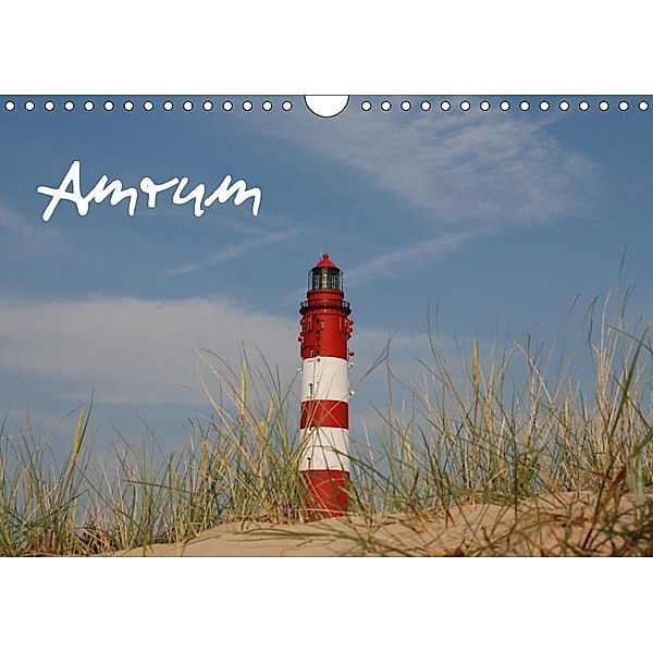 Amrum (Wandkalender 2017 DIN A4 quer), Birgit Küllsen