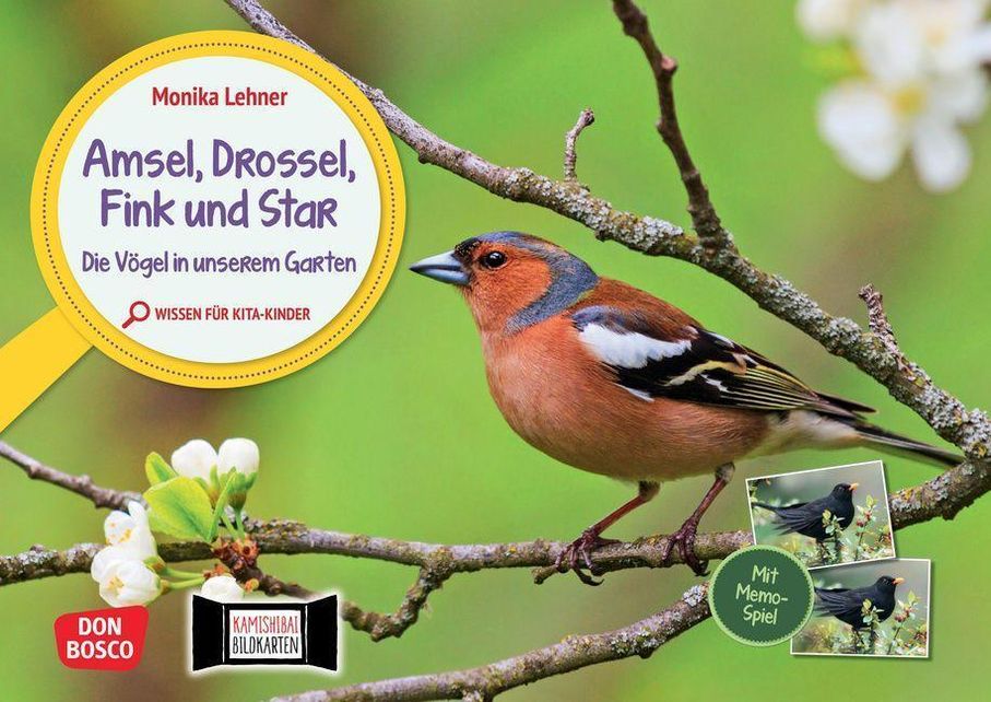 Amsel, Drossel, Fink und Star. Die Vögel in unserem Garten. Kamishibai  Bildkarten und Memo-Spiel | Weltbild.at