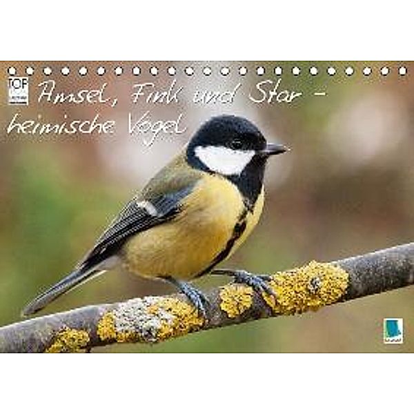 Amsel, Fink & Star heimische Vögel (Tischkalender 2015 DIN A5 quer), Calvendo