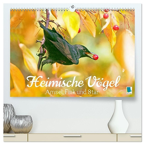 Amsel, Fink und Star: Heimische Vögel (hochwertiger Premium Wandkalender 2024 DIN A2 quer), Kunstdruck in Hochglanz, Calvendo