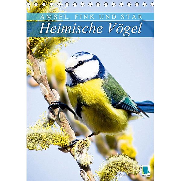 Amsel, Fink und Star: Heimische Vögel (Tischkalender 2021 DIN A5 hoch), Calvendo