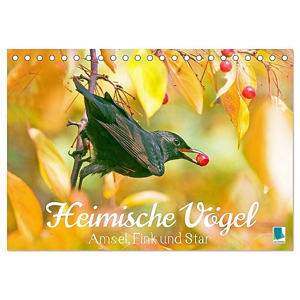 Amsel, Fink und Star: Heimische Vögel (Tischkalender 2024 DIN A5 quer), CALVENDO Monatskalender, Calvendo