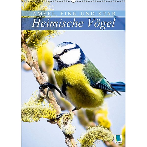 Amsel, Fink und Star: Heimische Vögel (Wandkalender 2018 DIN A2 hoch), CALVENDO