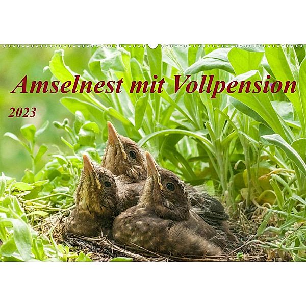 Amselnest mit Vollpension (Wandkalender 2023 DIN A2 quer), Kerstin Waurick