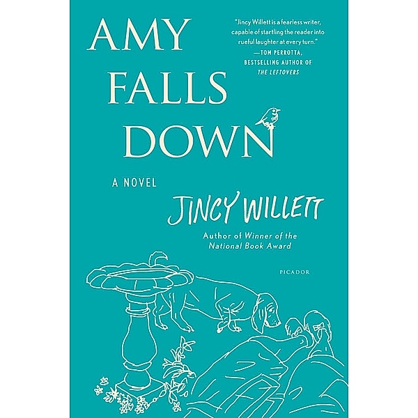 Amy Falls Down / Amy Gallup Bd.2, Jincy Willett