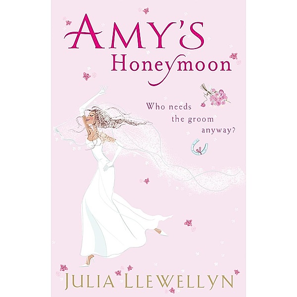 Amy's Honeymoon, Julia Llewellyn