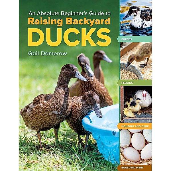 An Absolute Beginner's Guide to Raising Backyard Ducks, Gail Damerow