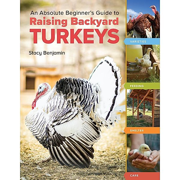 An Absolute Beginner's Guide to Raising Backyard Turkeys, Stacy Benjamin
