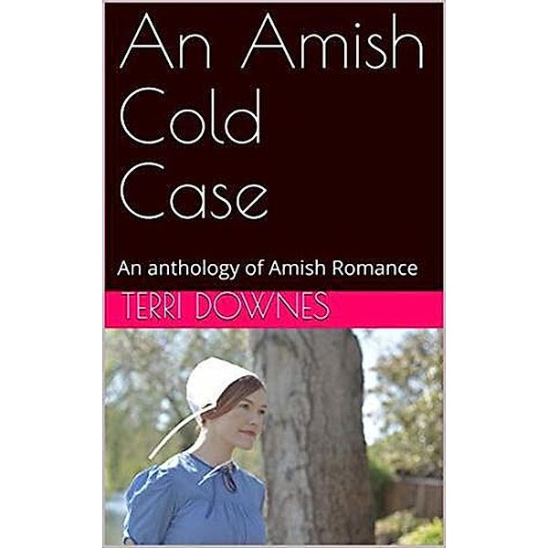 An Amish Cold Case An Anthology of Amish Romance, Terri Downes