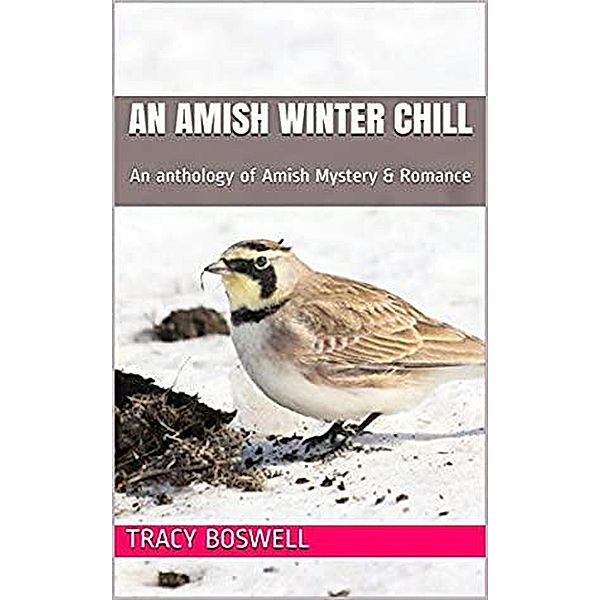 An Amish Winter Chill, Tracy Boswell