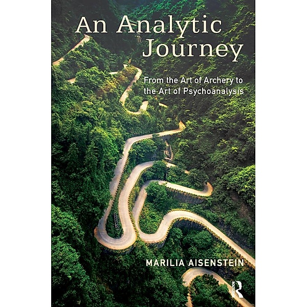 An Analytic Journey, Marilia Aisenstein
