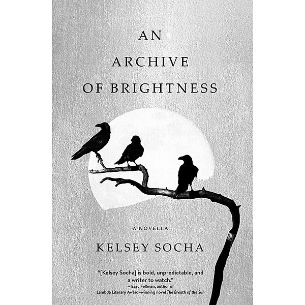 An Archive of Brightness, Kelsey Socha
