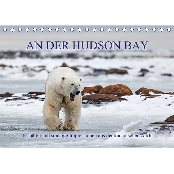 AN DER HUDSON BAY (Tischkalender 2021 DIN A5 quer), Michele Junio