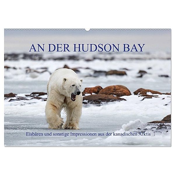 AN DER HUDSON BAY (Wandkalender 2024 DIN A2 quer), CALVENDO Monatskalender, Michele Junio