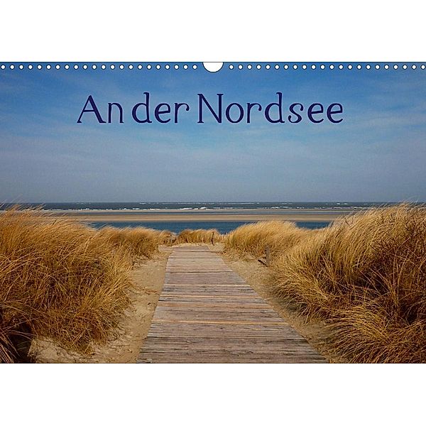 An der Nordsee (Wandkalender 2021 DIN A3 quer), Kattobello