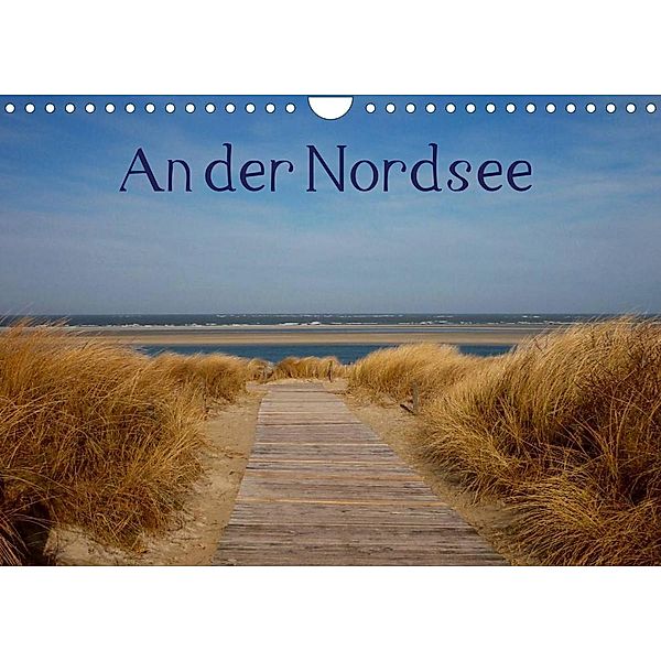 An der Nordsee (Wandkalender 2023 DIN A4 quer), Kattobello