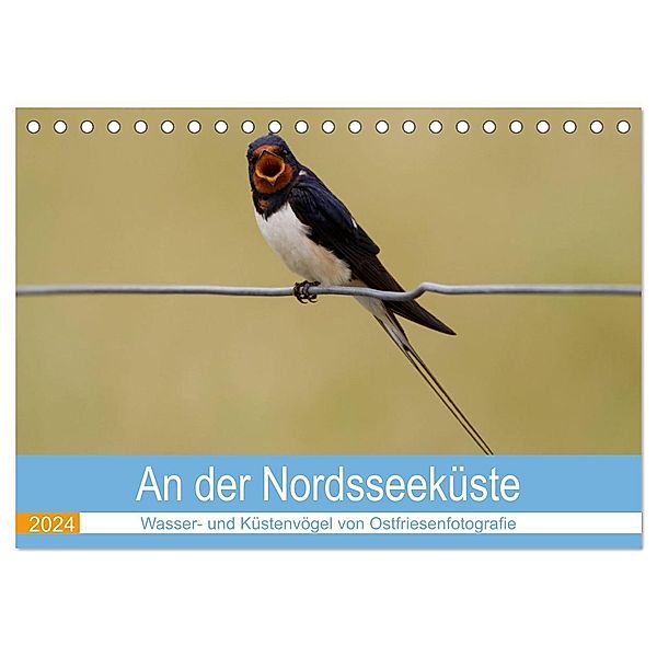 An der Nordseeküste - Wasser- und Küstenvögel fotografiert von Ostfriesenfotografie (Tischkalender 2024 DIN A5 quer), CALVENDO Monatskalender, Christina Betten - Ostfriesenfotografie