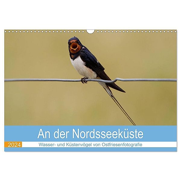 An der Nordseeküste - Wasser- und Küstenvögel fotografiert von Ostfriesenfotografie (Wandkalender 2024 DIN A3 quer), CALVENDO Monatskalender, Christina Betten - Ostfriesenfotografie