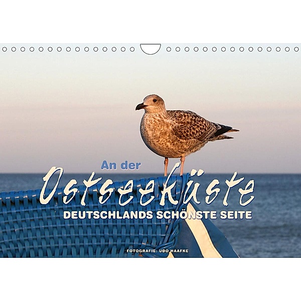 An der Ostseeküste - Deutschlands schönste Seite (Wandkalender 2023 DIN A4 quer), Udo Haafke