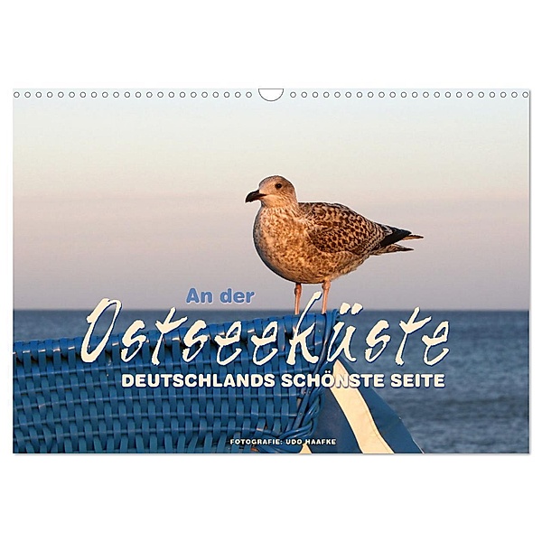 An der Ostseeküste - Deutschlands schönste Seite (Wandkalender 2024 DIN A3 quer), CALVENDO Monatskalender, Udo Haafke