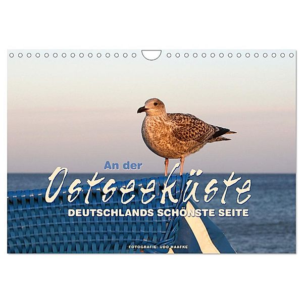 An der Ostseeküste - Deutschlands schönste Seite (Wandkalender 2024 DIN A4 quer), CALVENDO Monatskalender, Udo Haafke