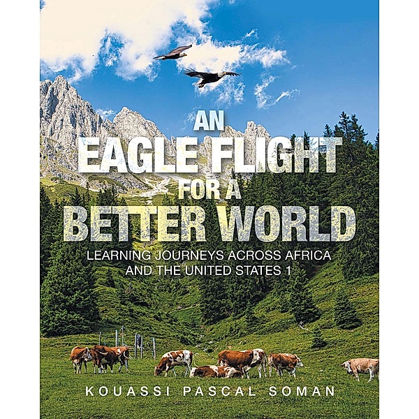 An Eagle Flight for a Better World, Kouassi Pascal Soman