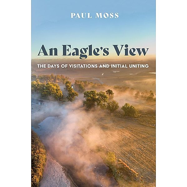An Eagle's View, Paul Moss