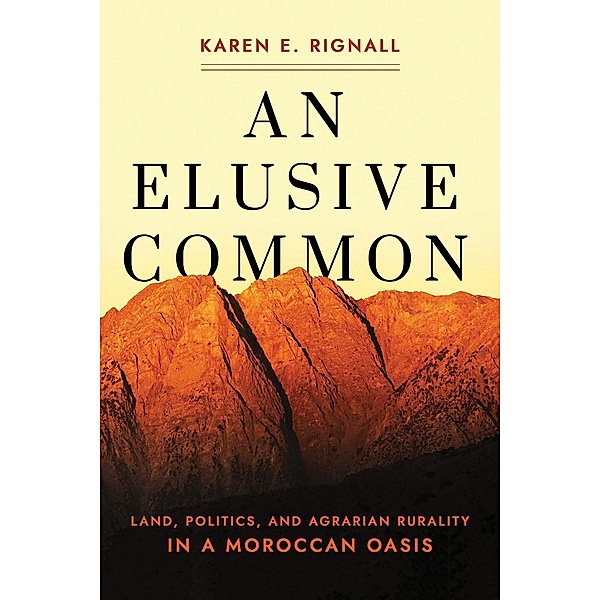 An Elusive Common / Cornell Series on Land: New Perspectives on Territory, Development, and Environment, Karen E. Rignall