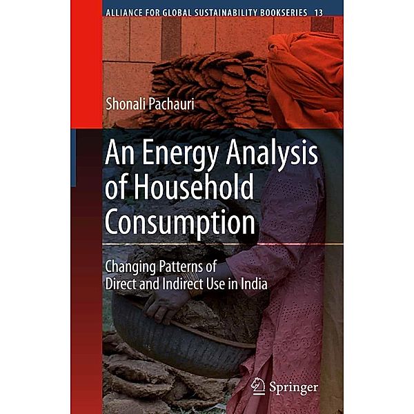 An Energy Analysis of Household Consumption / Alliance for Global Sustainability Bookseries Bd.13, Shonali Pachauri